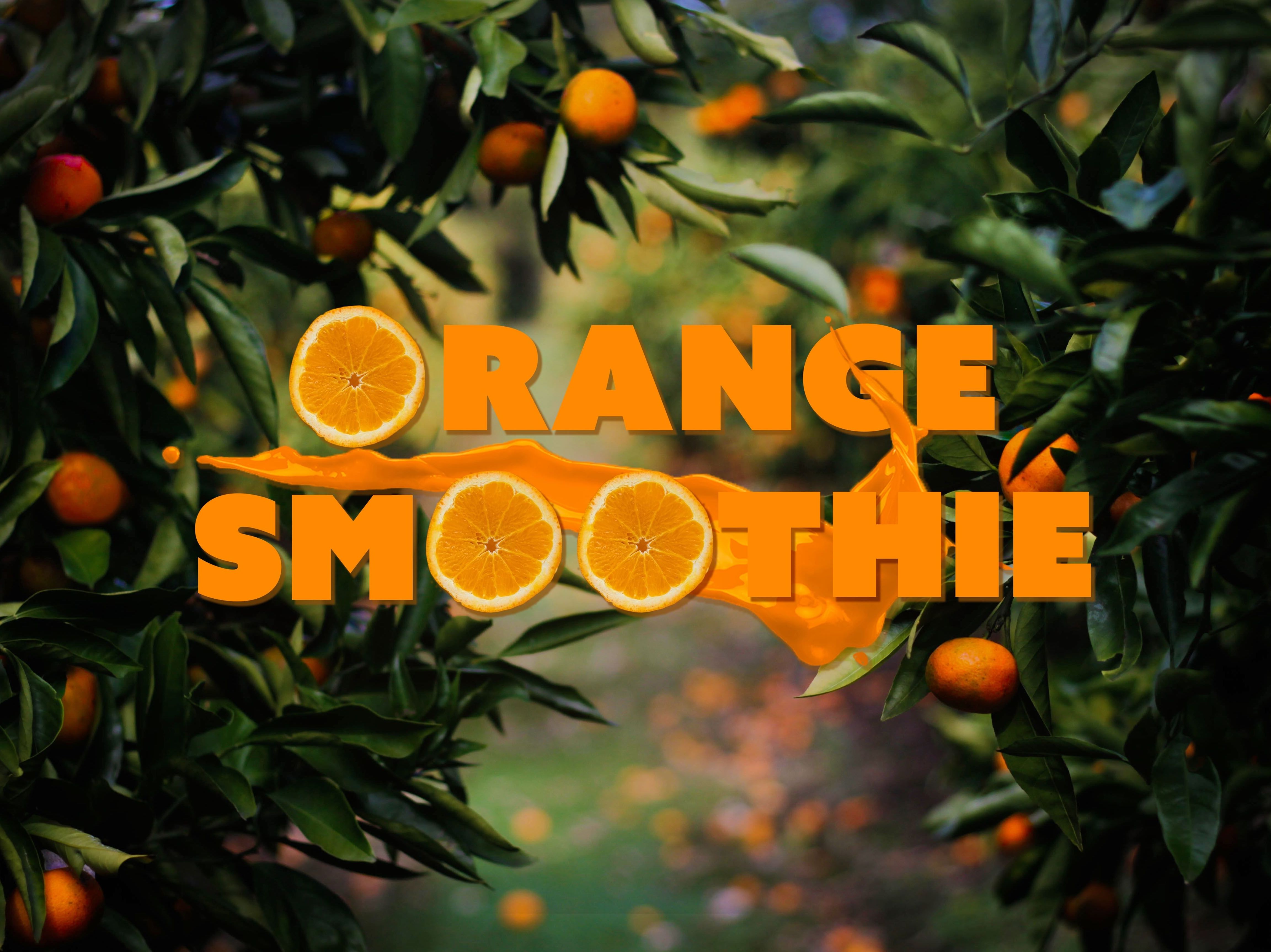 A lush orange grove surrounding the text: Orange Smoothie